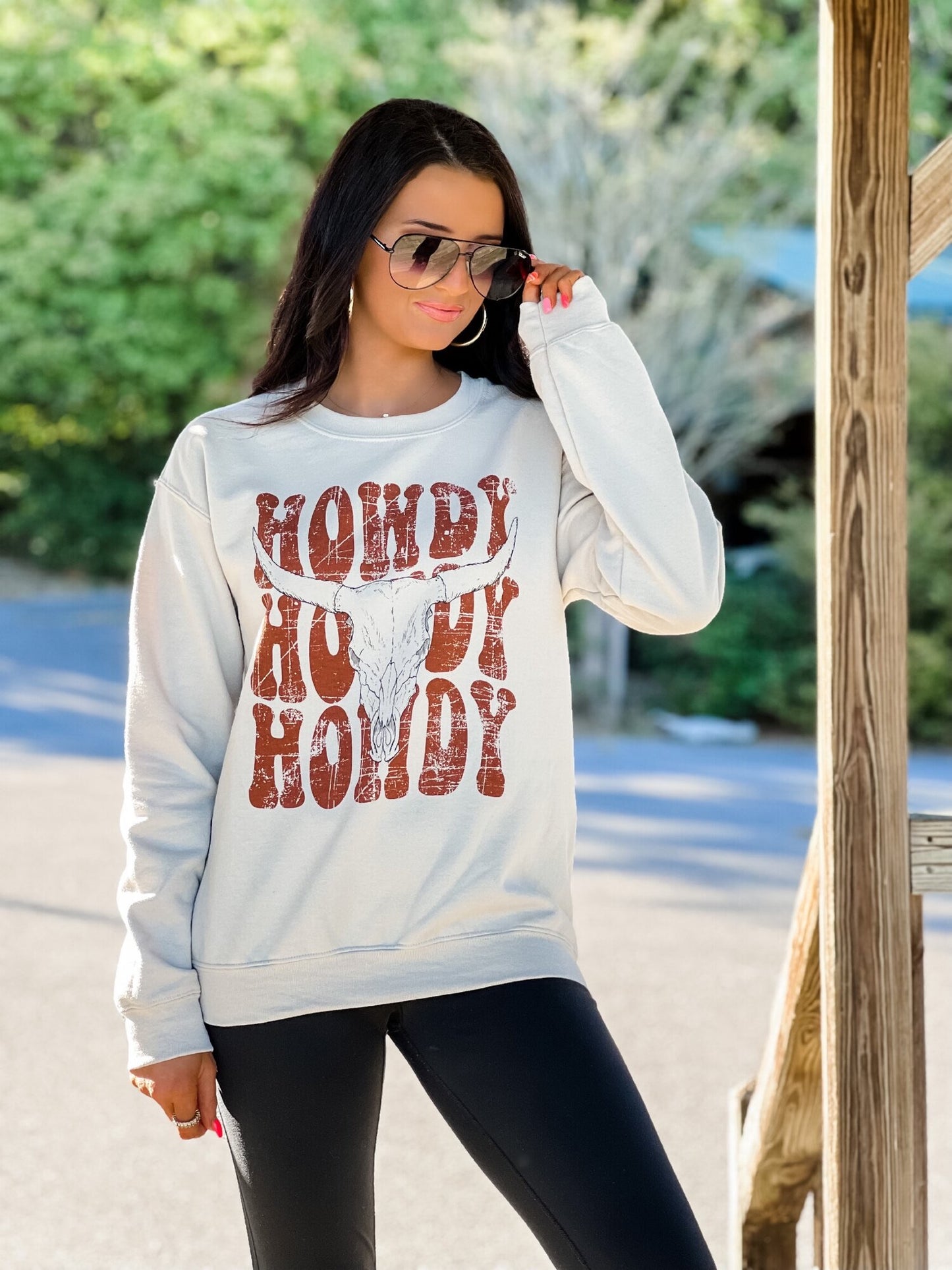 Howdy Steer Head Sweatshirt