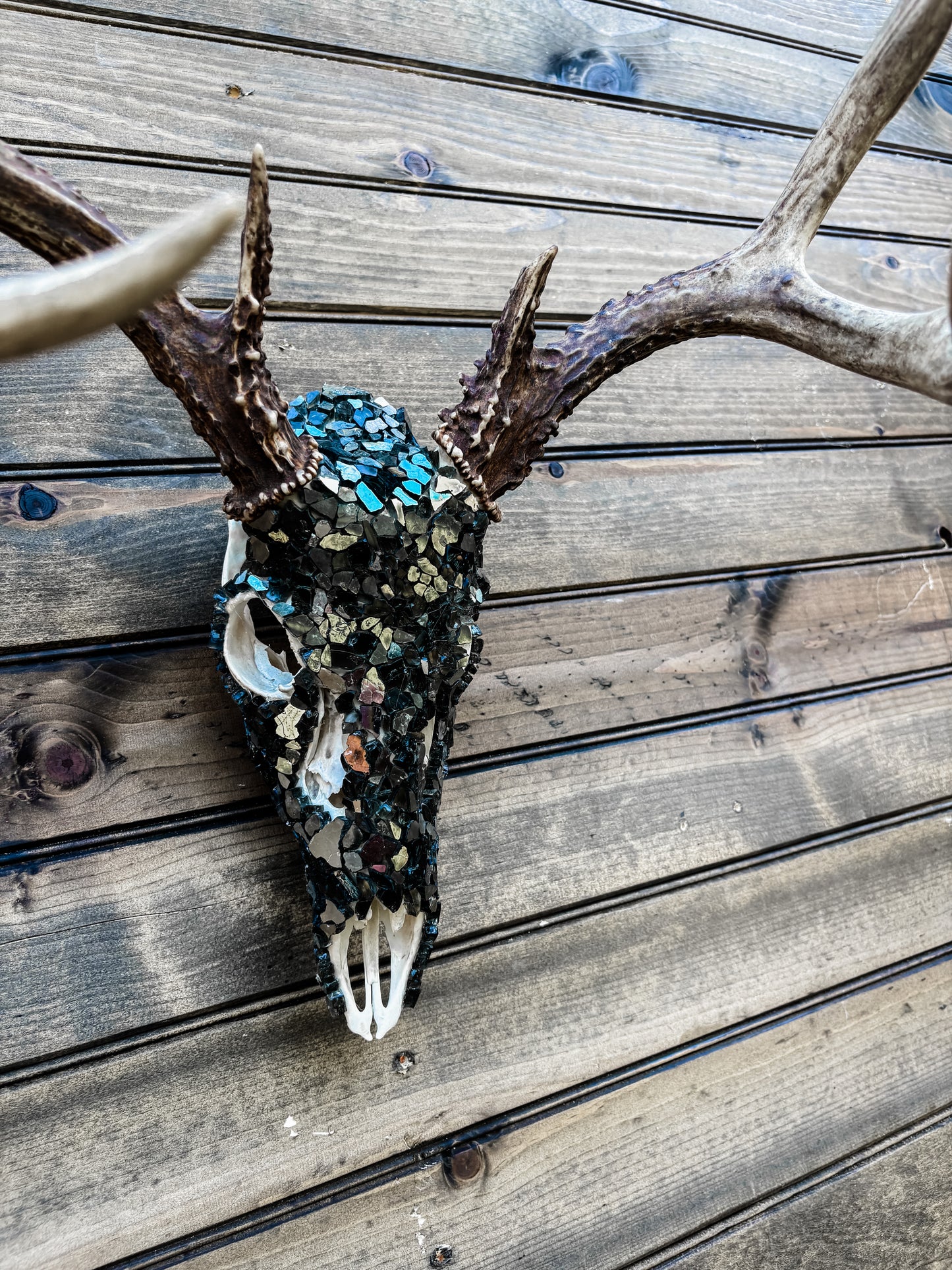 Glass Skull - Black