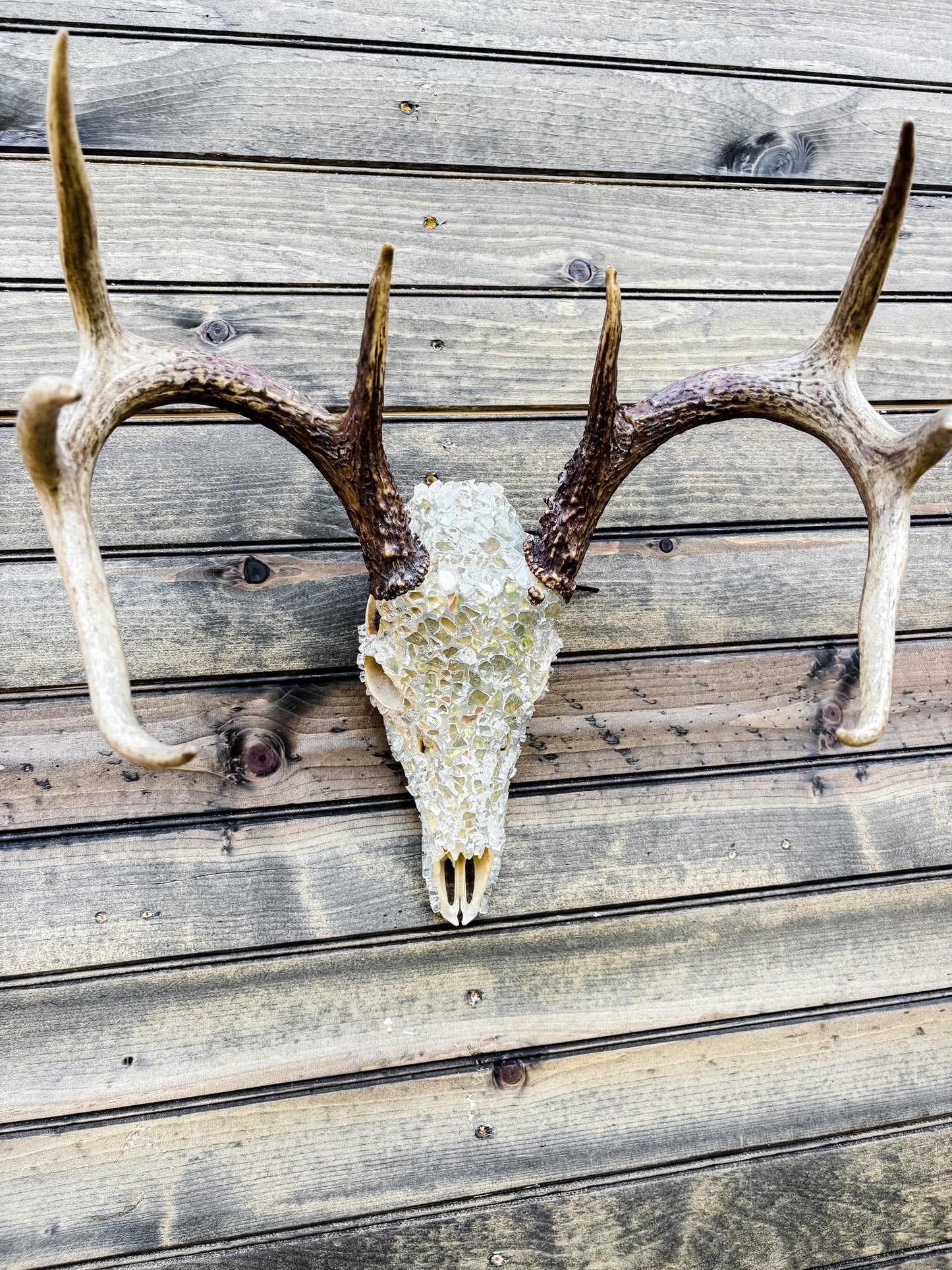 Glass Skull - Ivory