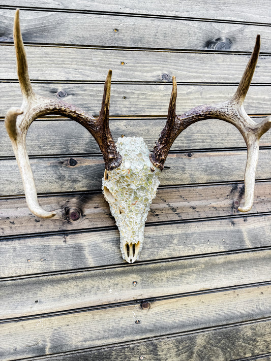 Glass Skull - Ivory