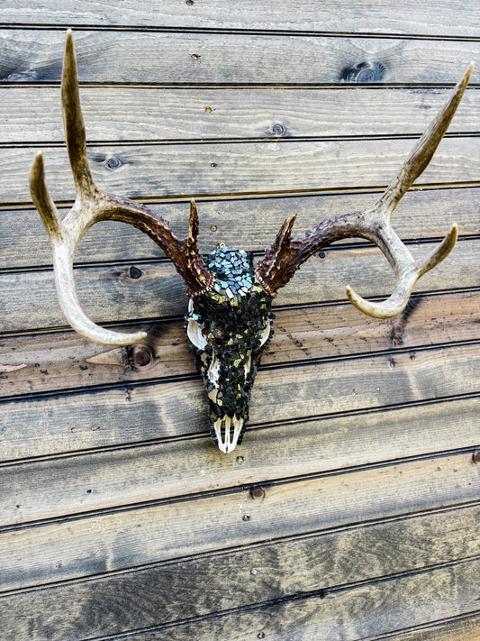 Glass Skull - Black
