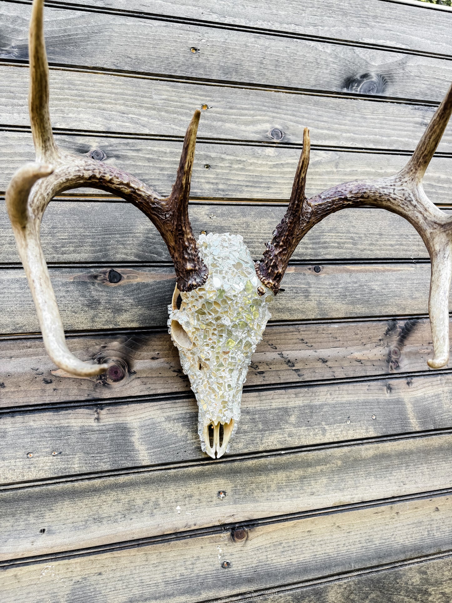 Glass Skull - Ivory